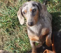 processed/b5e45e97-42e7-4d8f-a0b0-08ea1f5c505a/facility/c6caf87b-3531-4024-9d22-8e703d367f0a