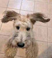 processed/b60823a3-715d-4cf2-b32c-7513d3bf803d/listing/38b07bac-e580-4def-88f9-f37ef96be832/42904cd0-7d1f-451c-8411-2b8a887a4ddc