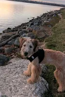 processed/b60823a3-715d-4cf2-b32c-7513d3bf803d/listing/38b07bac-e580-4def-88f9-f37ef96be832/b1b7bd9a-0935-4fb6-9177-6fca54f78cb2