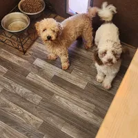 processed/b60fcf67-7d6a-4c54-935b-a50cc26fc73e/facility/123cb916-5725-4f1b-8b76-0ed1b94c09d6