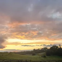 processed/b60fcf67-7d6a-4c54-935b-a50cc26fc73e/facility/1d787a5b-44ea-4c2c-a6b9-3adb8999162b