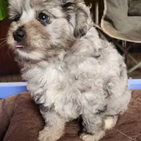 processed/b60fcf67-7d6a-4c54-935b-a50cc26fc73e/facility/4c2a392b-b2a1-4323-8cca-9d804e470944