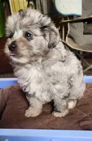 processed/b60fcf67-7d6a-4c54-935b-a50cc26fc73e/facility/4c2a392b-b2a1-4323-8cca-9d804e470944