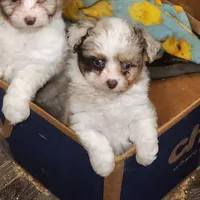 processed/b60fcf67-7d6a-4c54-935b-a50cc26fc73e/facility/646a7453-2c83-4a0d-9c83-813f0f965197