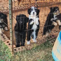 processed/b60fcf67-7d6a-4c54-935b-a50cc26fc73e/facility/950eff4f-b55b-4125-93b5-a8135f459c70