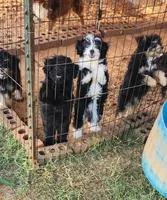 processed/b60fcf67-7d6a-4c54-935b-a50cc26fc73e/facility/950eff4f-b55b-4125-93b5-a8135f459c70