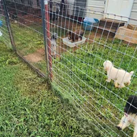 processed/b60fcf67-7d6a-4c54-935b-a50cc26fc73e/facility/b8cbd650-3875-4fff-9bd0-20a0b28f2744