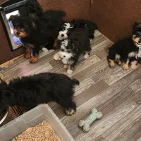 processed/b60fcf67-7d6a-4c54-935b-a50cc26fc73e/facility/bcc2b0d5-49d0-4dfa-856a-1b9d9480af4d