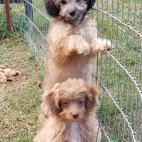 processed/b60fcf67-7d6a-4c54-935b-a50cc26fc73e/facility/bdc90665-e80e-4e0c-a19c-58e3ec9771be