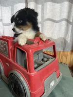 processed/b60fcf67-7d6a-4c54-935b-a50cc26fc73e/listing/97d45983-6cb1-49d4-90f0-bab9caceeb7a/29493419-996f-43ff-b7ee-db6e0c90373e