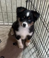 processed/b60fcf67-7d6a-4c54-935b-a50cc26fc73e/listing/97d45983-6cb1-49d4-90f0-bab9caceeb7a/47a56b9b-0bfe-4475-bf6b-f6a957da9144