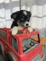 processed/b60fcf67-7d6a-4c54-935b-a50cc26fc73e/listing/97d45983-6cb1-49d4-90f0-bab9caceeb7a/7074c9b8-fb00-450b-bc48-0606bd484d2a