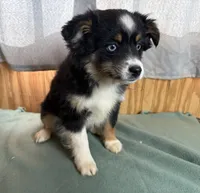 processed/b60fcf67-7d6a-4c54-935b-a50cc26fc73e/listing/97d45983-6cb1-49d4-90f0-bab9caceeb7a/95aa3c1f-fed4-4b9b-8df6-391b7f787534