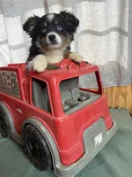 processed/b60fcf67-7d6a-4c54-935b-a50cc26fc73e/listing/97d45983-6cb1-49d4-90f0-bab9caceeb7a/cc8c8e79-fd2f-457c-8d8b-f2ab6c254b8c