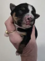 processed/b61062fd-3666-4c70-ab7e-8d21f5ed34ff/listing/0f2b4b6e-8b03-4749-9239-48cb07d80feb/21f219c0-ec66-46e7-bbc1-40a985dfaa17