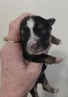 processed/b61062fd-3666-4c70-ab7e-8d21f5ed34ff/listing/0f2b4b6e-8b03-4749-9239-48cb07d80feb/72689f53-eeb1-4f07-9919-2077e00332d2