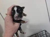 processed/b61062fd-3666-4c70-ab7e-8d21f5ed34ff/listing/0f2b4b6e-8b03-4749-9239-48cb07d80feb/a476aef8-c8aa-4889-8a1a-2cdcf1339dc2