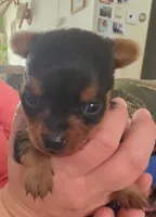 processed/b61062fd-3666-4c70-ab7e-8d21f5ed34ff/listing/39a67003-50fe-4f66-97a4-9bbb48653577/359e049f-bc57-43ea-a762-730fd1e69347