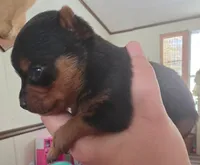 processed/b61062fd-3666-4c70-ab7e-8d21f5ed34ff/listing/39a67003-50fe-4f66-97a4-9bbb48653577/5af84d60-962c-4a79-a9ec-a32c2e47d264