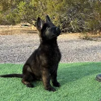 processed/b61a6a65-abc5-4fa6-8629-92aa99031c42/facility/05a34ca9-049c-4588-816d-1189ea46ff08