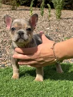 processed/b61a6a65-abc5-4fa6-8629-92aa99031c42/facility/18de60bf-659b-48c7-bcbb-5ace17c0630f