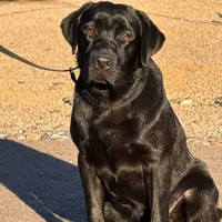 processed/b61a6a65-abc5-4fa6-8629-92aa99031c42/facility/4003dd32-63f1-4501-b737-37f5e1bef57a