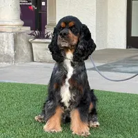 processed/b61a6a65-abc5-4fa6-8629-92aa99031c42/facility/5df1fb80-0072-4b76-abf4-71e67e646ce1