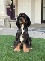 processed/b61a6a65-abc5-4fa6-8629-92aa99031c42/facility/5df1fb80-0072-4b76-abf4-71e67e646ce1