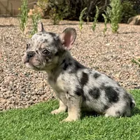 processed/b61a6a65-abc5-4fa6-8629-92aa99031c42/facility/93100a80-03bd-45f5-bb4f-6c3943860e15