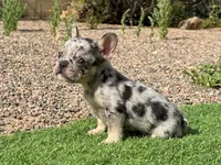 processed/b61a6a65-abc5-4fa6-8629-92aa99031c42/facility/93100a80-03bd-45f5-bb4f-6c3943860e15