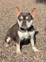 processed/b61a6a65-abc5-4fa6-8629-92aa99031c42/facility/cea7ab34-f232-4e71-8ea5-7a77e303cf93