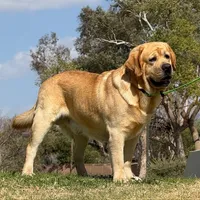 processed/b61a6a65-abc5-4fa6-8629-92aa99031c42/facility/d484b618-21dd-4a7d-82d0-9657771c90ac