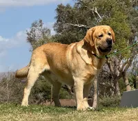 processed/b61a6a65-abc5-4fa6-8629-92aa99031c42/facility/d484b618-21dd-4a7d-82d0-9657771c90ac