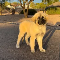 processed/b61a6a65-abc5-4fa6-8629-92aa99031c42/facility/d5ced61b-7087-4fd4-a912-3ba573f98b1b