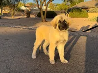 processed/b61a6a65-abc5-4fa6-8629-92aa99031c42/facility/d5ced61b-7087-4fd4-a912-3ba573f98b1b