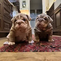 processed/b61a6a65-abc5-4fa6-8629-92aa99031c42/facility/e7387000-c499-462b-954c-90361a822ddd