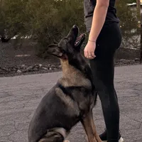 processed/b61a6a65-abc5-4fa6-8629-92aa99031c42/facility/f74ca830-a779-43b8-8d5c-6a4f42eb3ce2