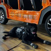 Bruce, a male Labrador Retriever for sale in Phoenix, AZ – Photo 2 of 9