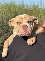 processed/b61a6a65-abc5-4fa6-8629-92aa99031c42/listing/6718fd15-0c9d-4e5e-9daa-a9697c8c7e51/106ec5d1-fc4f-469c-a583-89c82a6d71be