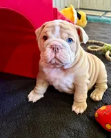 processed/b61a6a65-abc5-4fa6-8629-92aa99031c42/listing/6718fd15-0c9d-4e5e-9daa-a9697c8c7e51/31151a46-e7ad-49ee-b4a5-720f9e8ad142