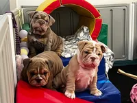 processed/b61a6a65-abc5-4fa6-8629-92aa99031c42/listing/6718fd15-0c9d-4e5e-9daa-a9697c8c7e51/ba48e221-6bd2-4689-abcc-fd5e89fdfabc