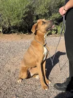 processed/b61a6a65-abc5-4fa6-8629-92aa99031c42/listing/705c66f2-ca45-473f-94fc-3078fd33b481/130f02bb-f89a-493a-915d-9ddeef60e929