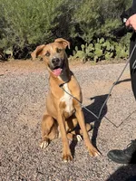 processed/b61a6a65-abc5-4fa6-8629-92aa99031c42/listing/705c66f2-ca45-473f-94fc-3078fd33b481/3d42ad7a-f542-4bb1-8c30-c101fcadd7fd