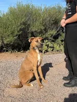 processed/b61a6a65-abc5-4fa6-8629-92aa99031c42/listing/705c66f2-ca45-473f-94fc-3078fd33b481/8fb7af3d-fa46-4474-9dfb-96c76b84ecc5