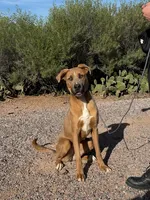 processed/b61a6a65-abc5-4fa6-8629-92aa99031c42/listing/705c66f2-ca45-473f-94fc-3078fd33b481/b1c33bca-454c-4516-8e4e-c2fddef103a2