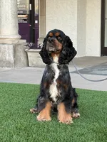 processed/b61a6a65-abc5-4fa6-8629-92aa99031c42/listing/a8373eb5-4000-4c3a-a623-bf264029b6b2/0d771ff8-3bc0-4b4f-9efa-a76ad13d212b