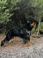 processed/b61a6a65-abc5-4fa6-8629-92aa99031c42/listing/a8373eb5-4000-4c3a-a623-bf264029b6b2/43b5c2e9-b513-4a77-8946-eae6f408221c