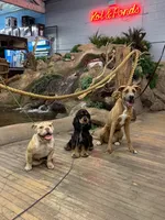 processed/b61a6a65-abc5-4fa6-8629-92aa99031c42/listing/a8373eb5-4000-4c3a-a623-bf264029b6b2/44830376-e6a0-4bac-9ae4-9589c6f6aa43