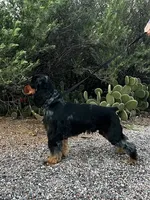 processed/b61a6a65-abc5-4fa6-8629-92aa99031c42/listing/a8373eb5-4000-4c3a-a623-bf264029b6b2/b1b7821e-3b57-444d-9318-f74200d565bc