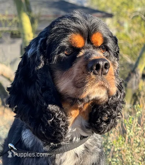 processed/b61a6a65-abc5-4fa6-8629-92aa99031c42/listing/a8373eb5-4000-4c3a-a623-bf264029b6b2/b992e6b5-e9d9-419a-b2c1-761f4b1b5be0